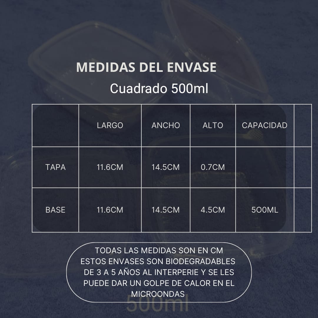 Termo Pack cuadrado 500ml - Imagen 3